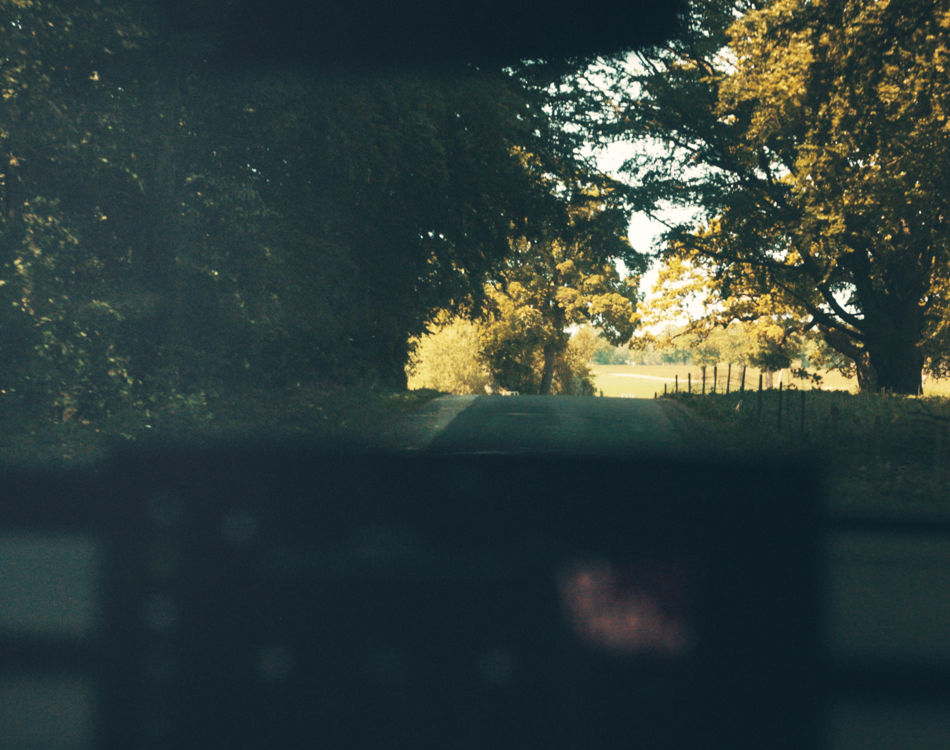 skov set indefra en Enyaq