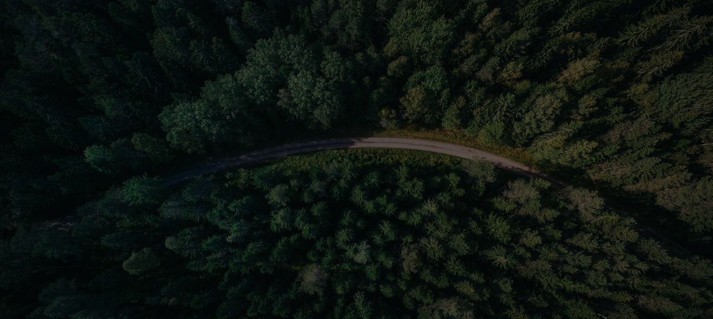 Skov oppefra med en vej