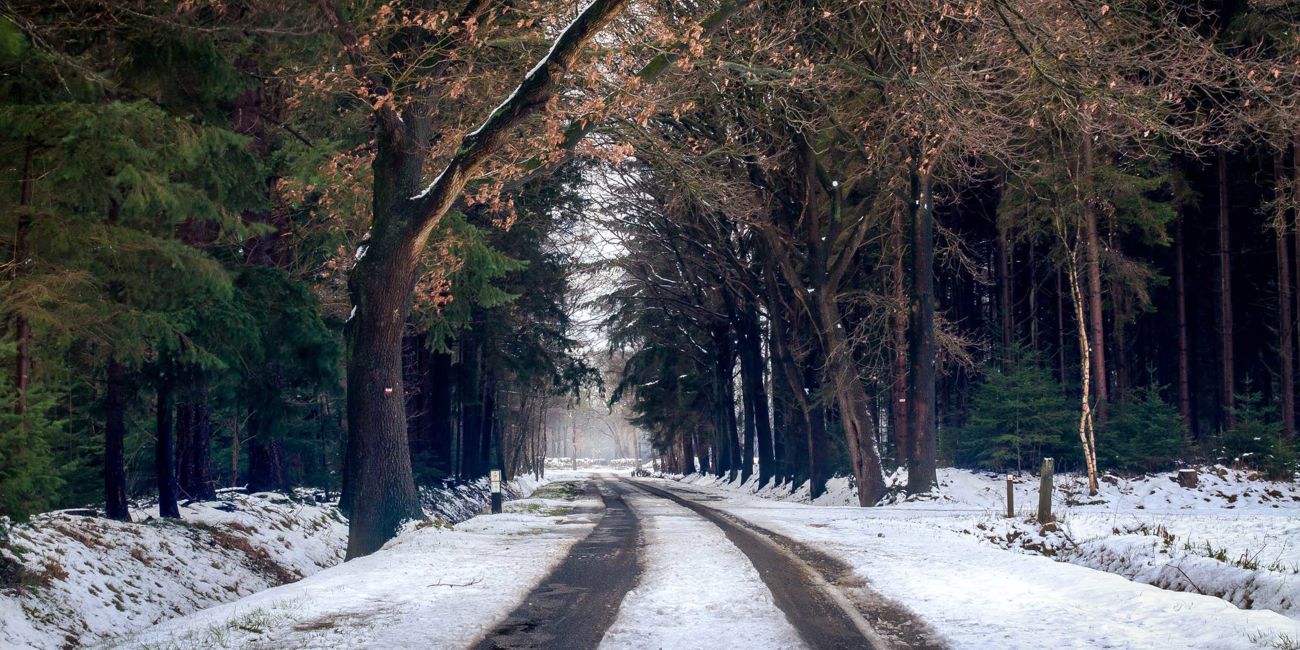 vinter vej med hjulspor vinterdæk lovgivning