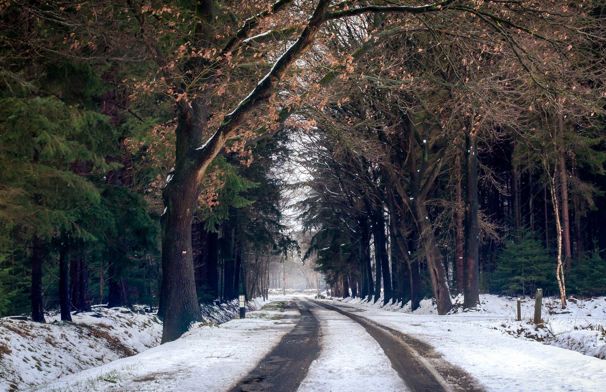 vinter vej med hjulspor vinterdæk lovgivning