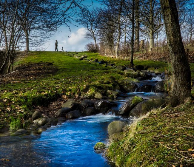 Flod der flyder gennem skov
